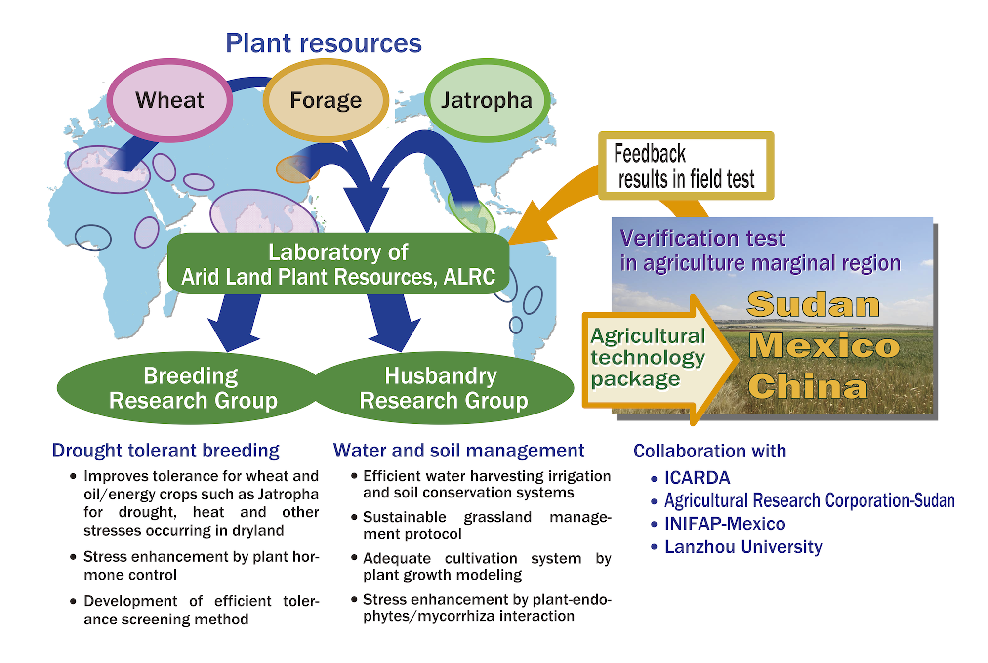 Project Framework Image