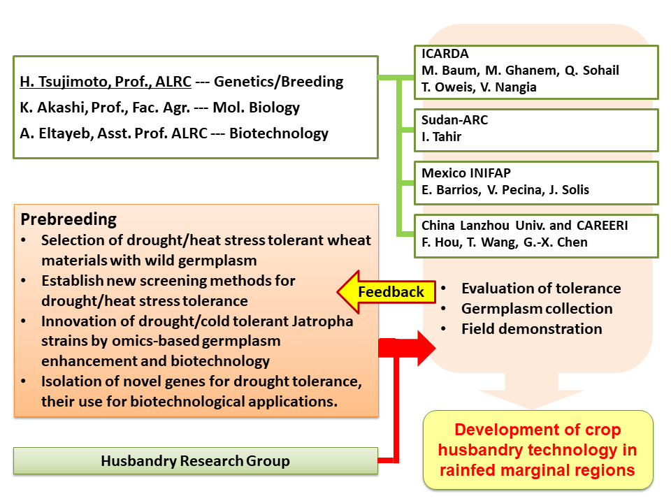 Breeding Research Group