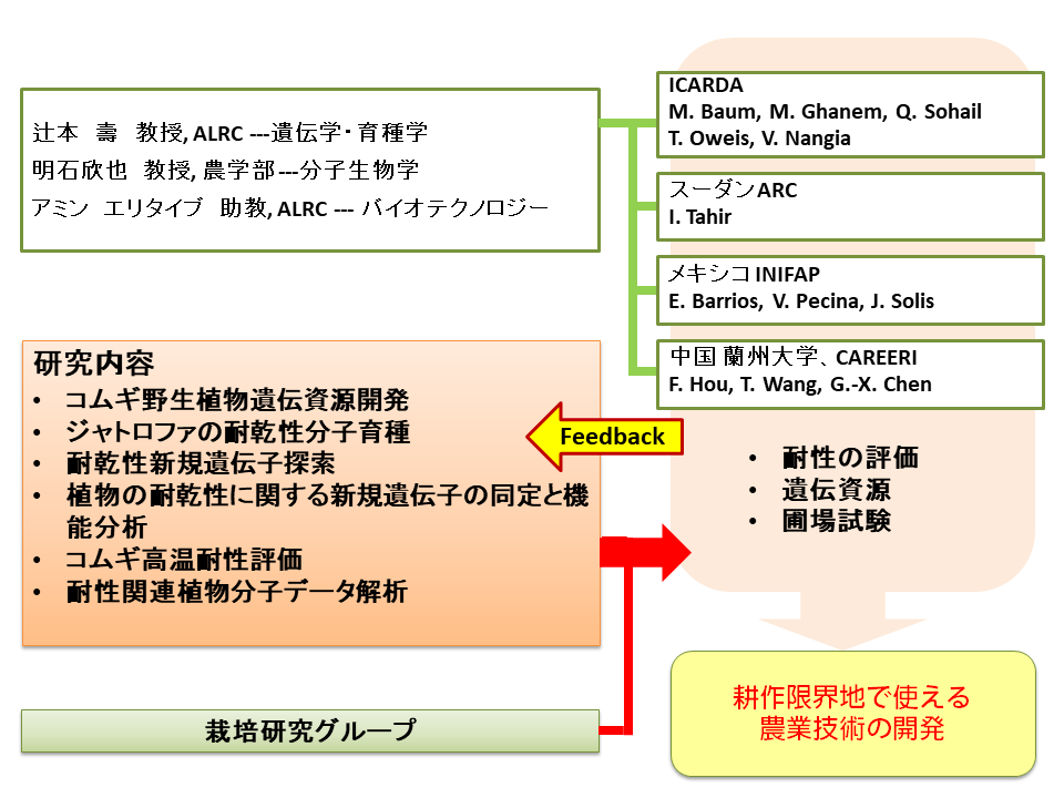 育種研究グループ