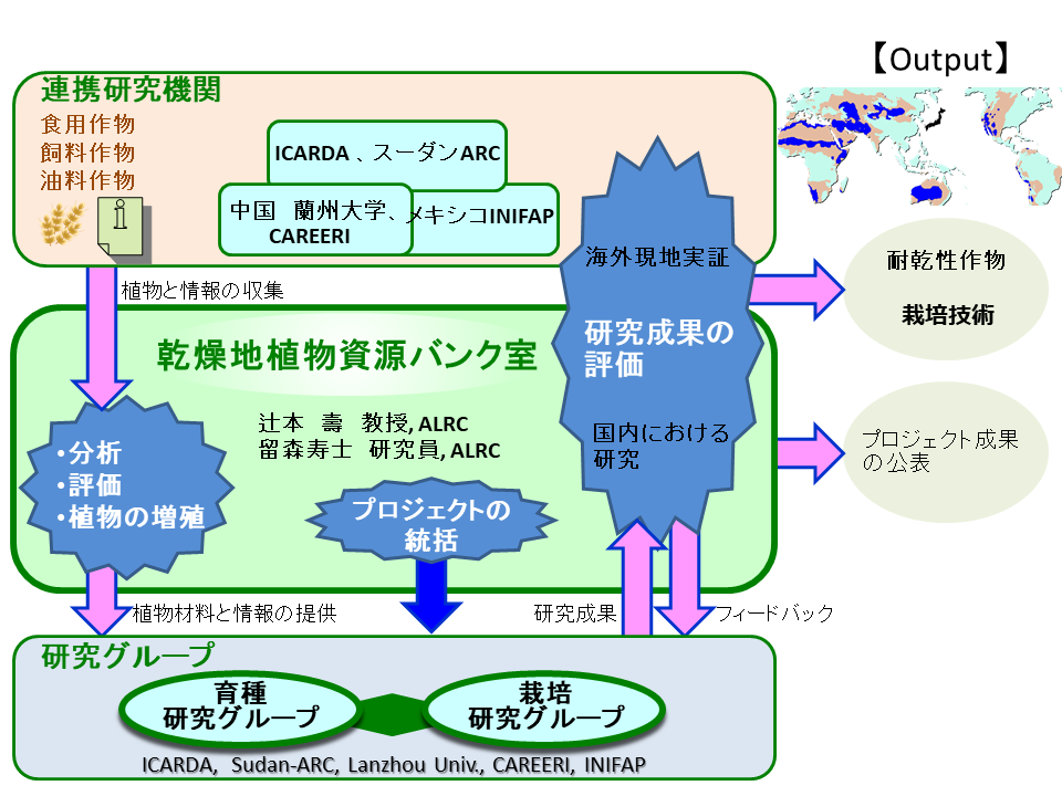 乾燥地植物資源バンク室