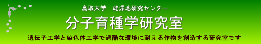 分子育種学研究室のタイトル