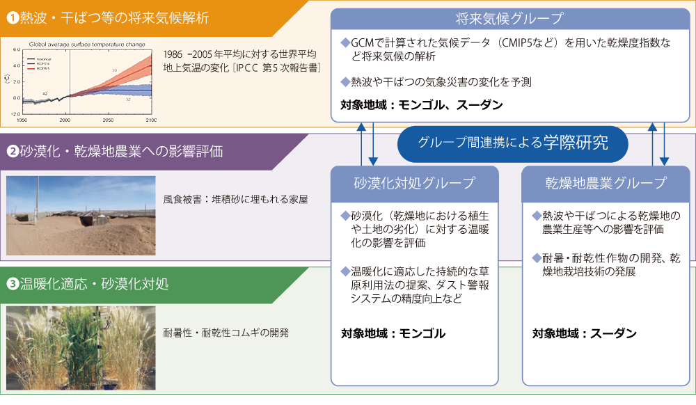 乾燥地 温暖化プロジェクト