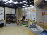 Specimen Display System