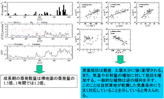 (表6)自然草地における蒸発散量の観測と生理学的特長