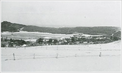1963年当時の鳥取大学農学部附属砂丘利用研究施設