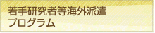 若手研究者等海外派遣プログラム