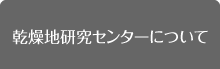 乾燥地研究センターについて