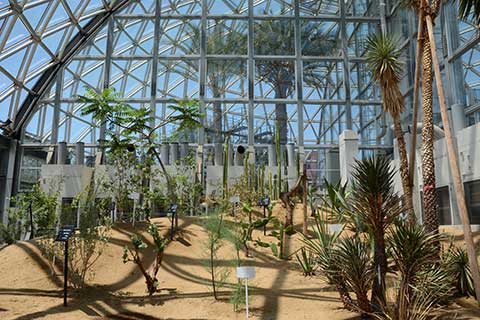 乾燥地植物資源展示温室